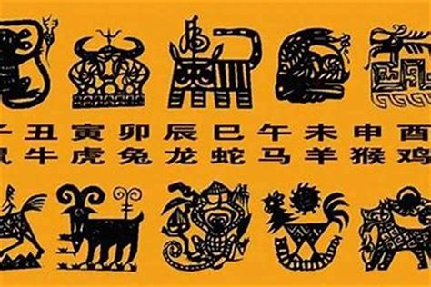 生肖龍 名字|生肖龍取名宜忌：打造一生旺運好名字